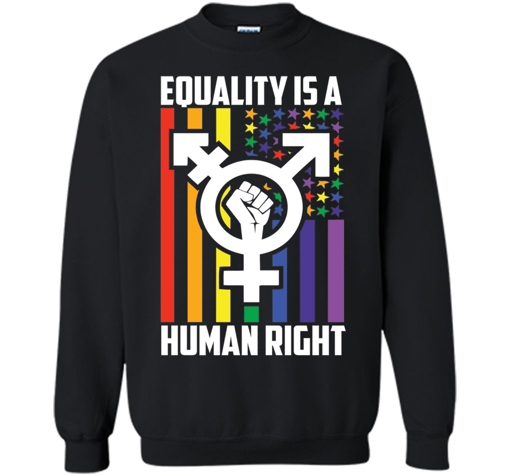 LGBT Pride Shirts Equality is a Human Right gift T-Shirt t-shirt