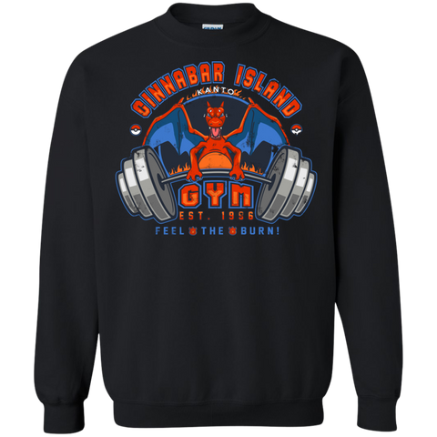 feel the burn! 10 T-Shirt