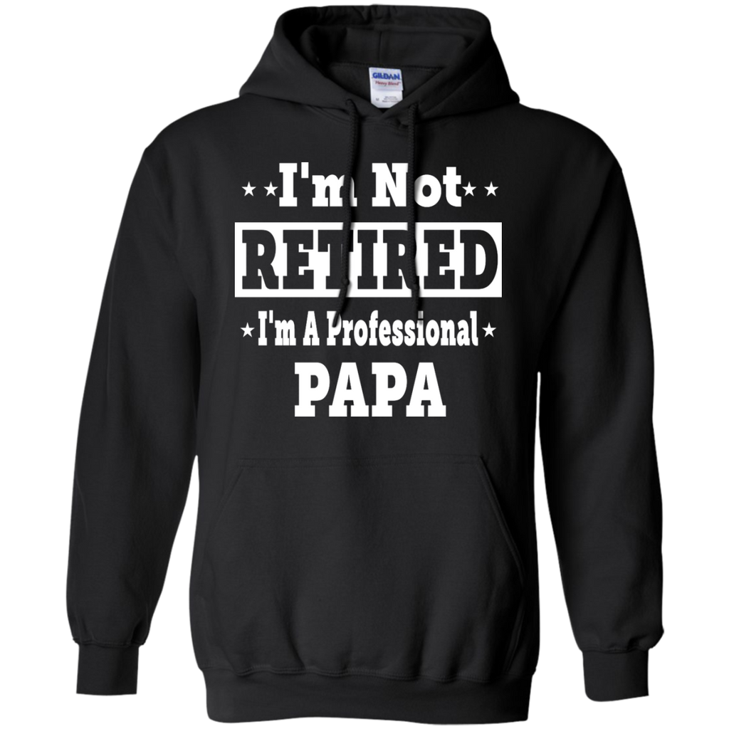 i'm not retired i'm a professional papa T-Shirt