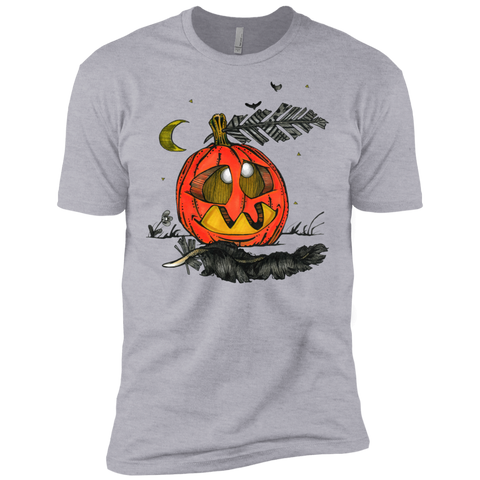 a little pumpkin T-Shirt