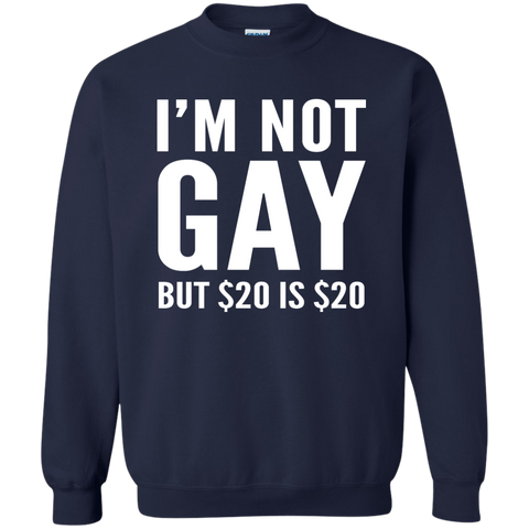 i'm not gay but $20 is $20 T-Shirt