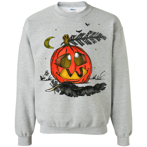 a little pumpkin T-Shirt