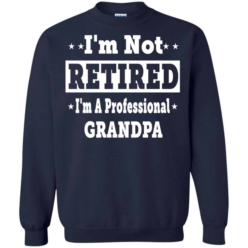 i'm not retired, i'm a professional grandpa T-Shirt