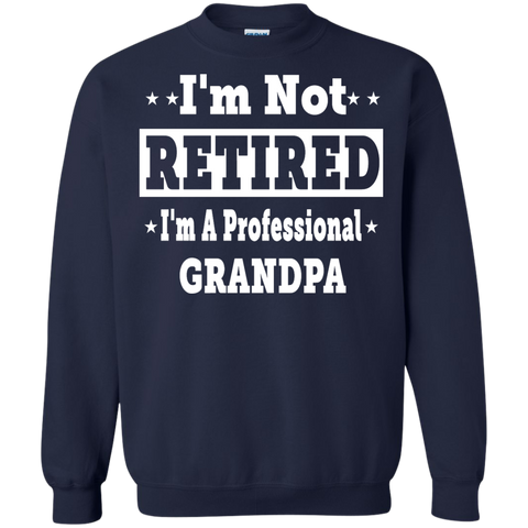 i'm not retired, i'm a professional grandpa T-Shirt