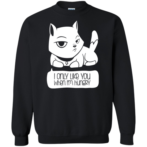 a cat's confession sweatshirt T-Shirt