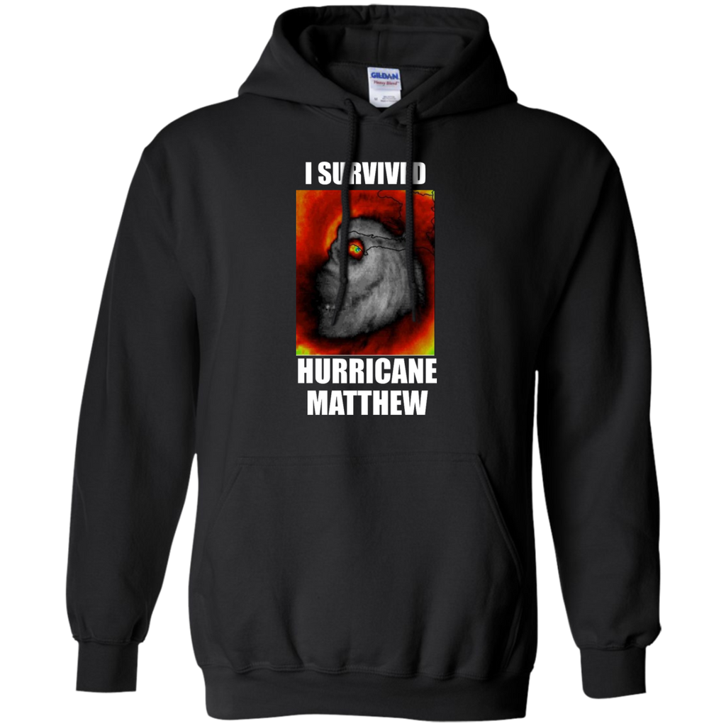 i survived hurricane matthew T-Shirt