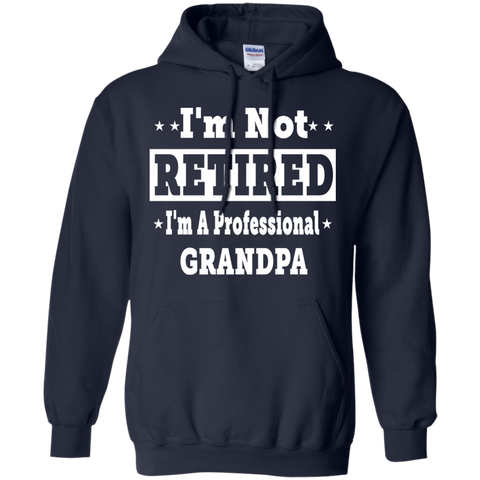 i'm not retired, i'm a professional grandpa T-Shirt