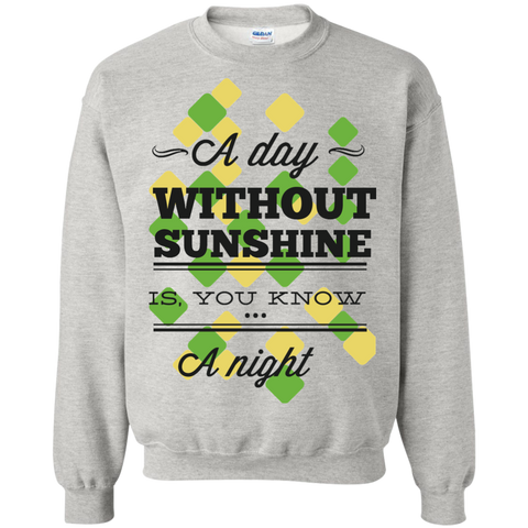 a day without sunshine is you know a night T-Shirt