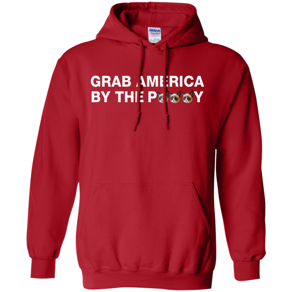 funny grab america by the pussy T-Shirt