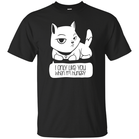 a cat's confession sweatshirt T-Shirt