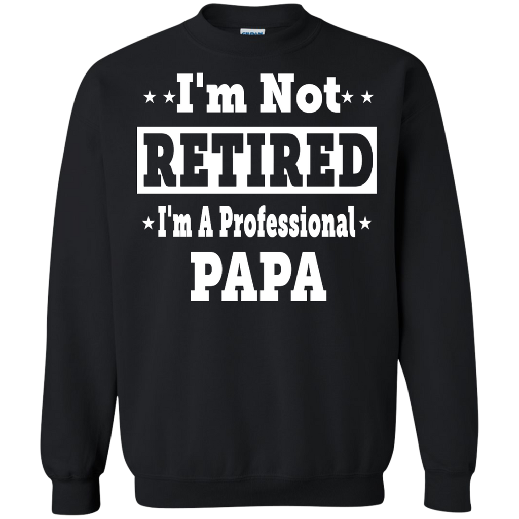 i'm not retired i'm a professional papa T-Shirt