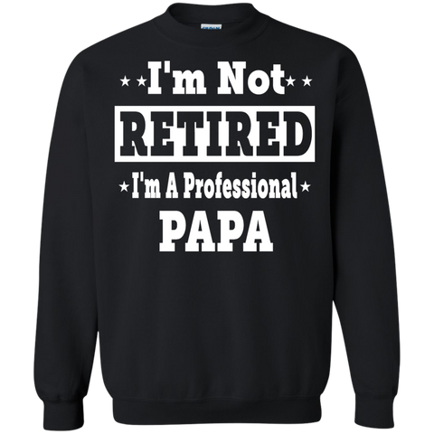 i'm not retired i'm a professional papa T-Shirt