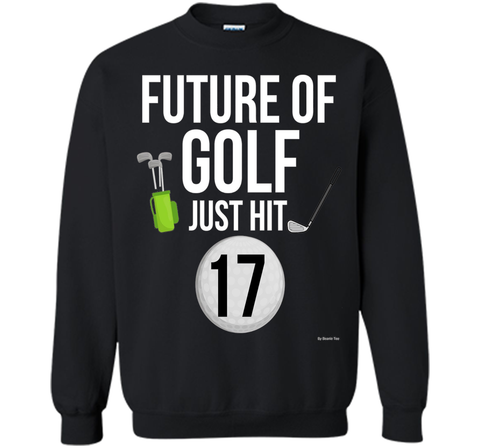 17th Birthday Golf T Shirt 17 Year Old Birthday Gift Tee