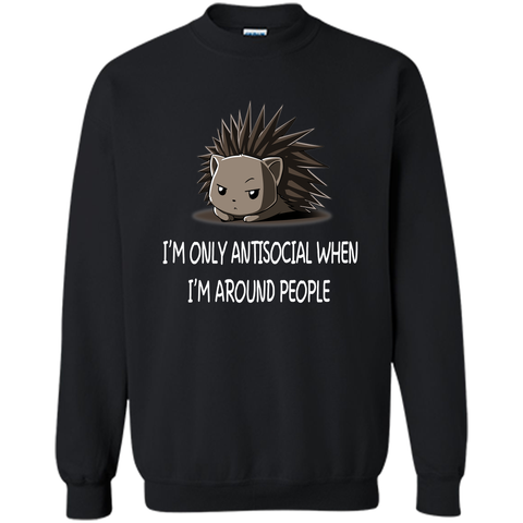 I'm only antisocial  when i'm around people-lovely porcupine-lovely animal