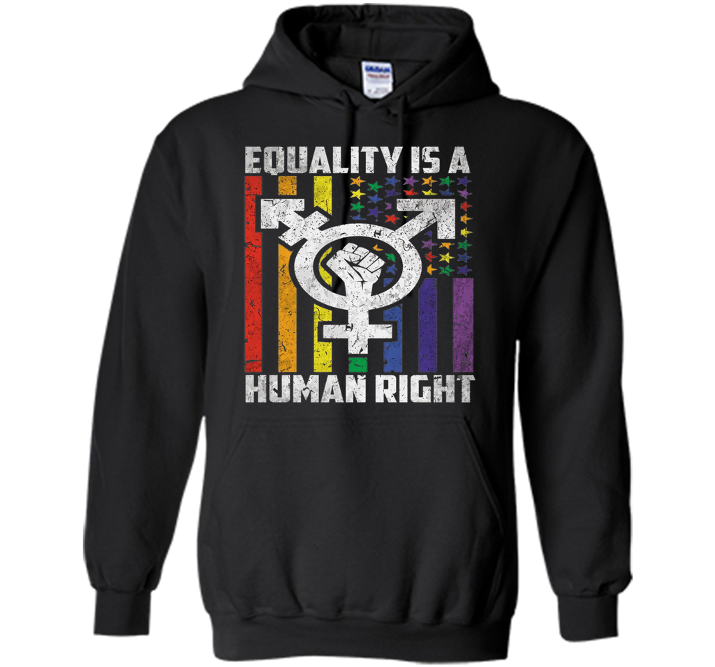 LGBT Pride Shirts Equality is a Human Right gift T-Shirt shirt