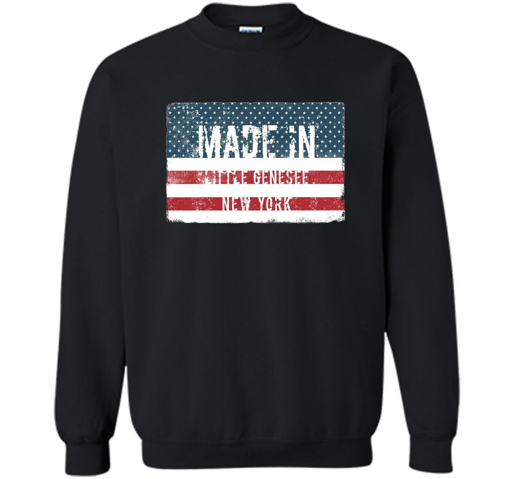 Made in Little Genesee, New York T-shirt