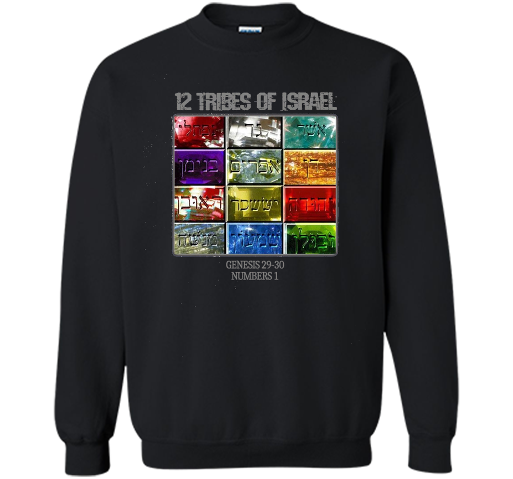 Hebrew Israelite Clothing Judah 12 Tribes  of Israel T-Shirt
