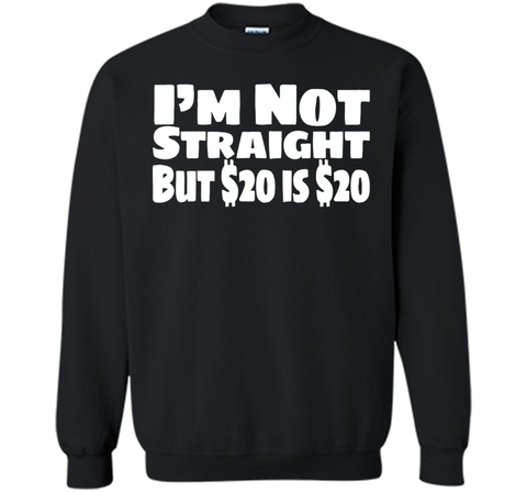I'm Not Straight But $20 Is $20 Funny offensive humor tshirt