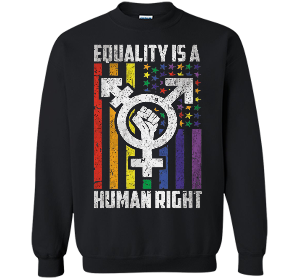 LGBT Pride Shirts Equality is a Human Right gift T-Shirt shirt