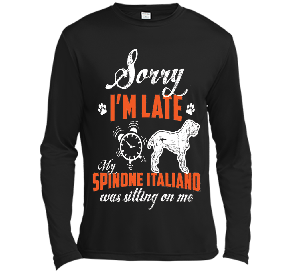 My Spinone Italiano Was Sitting On Me T-Shirt